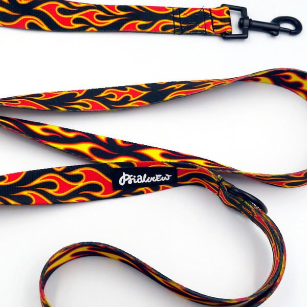 Smycz spacerowa miejska dla Psa Dog On Fire, szerokość 2,5 cm, czarny karabińczyk 6cm