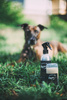 RUGGED PAW TONIC SPRAY Spray für Hunde für den täglichen Gebrauch