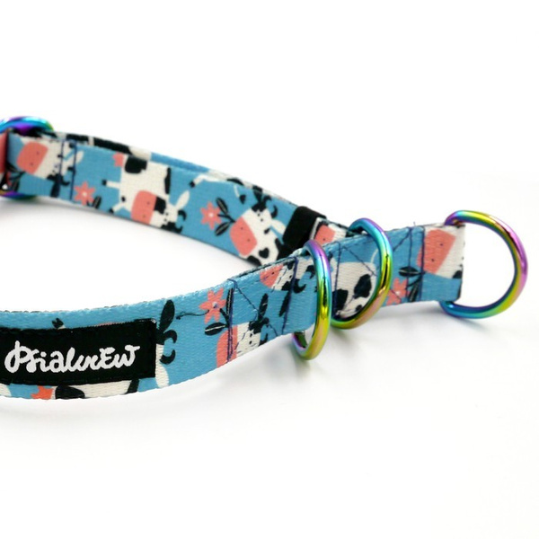 Half-choke collar Spotted Cow Psiakrew, 2.5 cm wide, medium and big dogs, holo extras