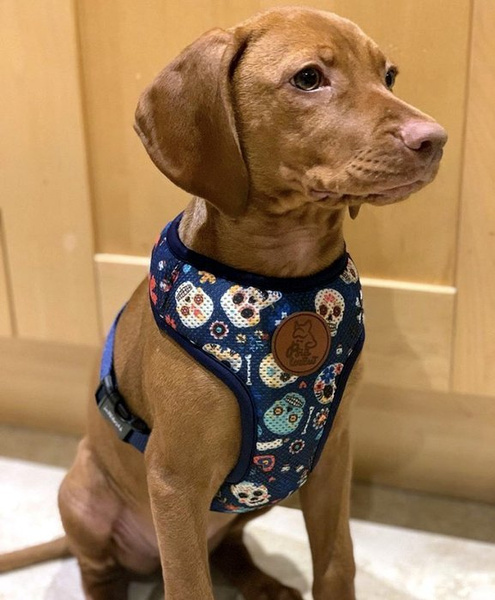 Dog Harness Día de los Muertos, Always Feeling Cool, Super Soft Psiakrew