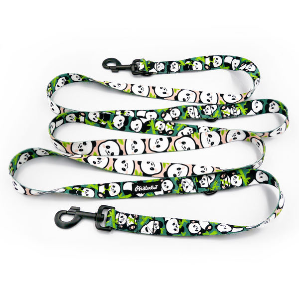 Lange verstellbare Hundeleine Bamboo Panda Psiakrew, Breite 2,5 cm, schwarzer Karabiner 8 cm