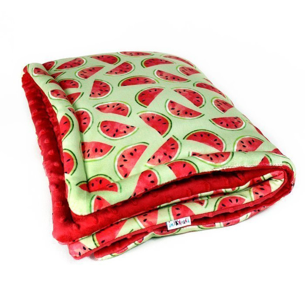 Premium Mat Plaid Blanket for the dog, Watermelon Psiakrew Design 