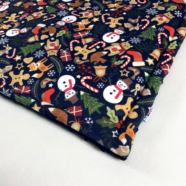 Premium Mat Plaid Blanket for the dog, Winter is coming Psiakrew Design