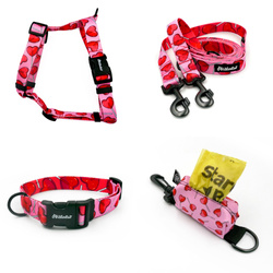 ACCESSORY KIT. Big dog. Lollipops Psiakrew Series; Collar, Harness, Leash, Pouch