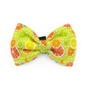 Psiakrew Dog Bow Tie Lemonade, elegant classic bow