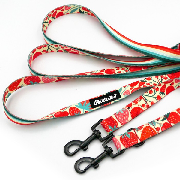 Long Dog Leash Fruit Jelly Psiakrew width 2 cm (0.78"), black snap hook 6 cm