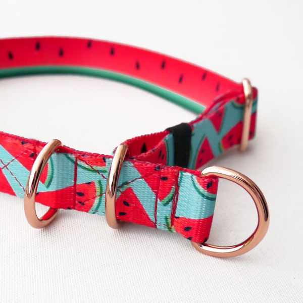 Half-choke collar Watermelon, 2.5 cm wide, medium and big dogs, rose gold