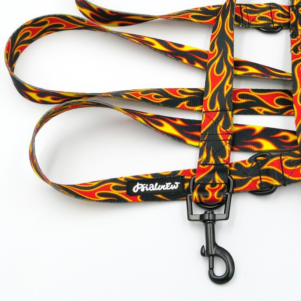 Hundeleine Dog On Fire Psiakrew, Breite 2,5 cm, Karabiner 6 cm schwarz