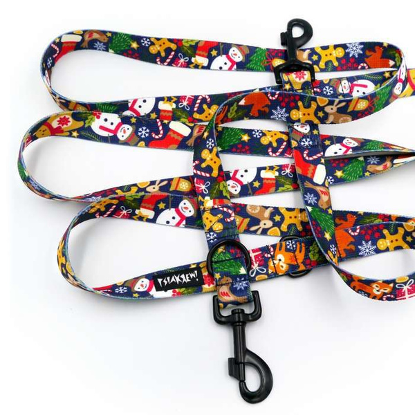 Long Dog Leash Winter is coming width 2.5 cm, 1"  wide, snap hook black 8 cm