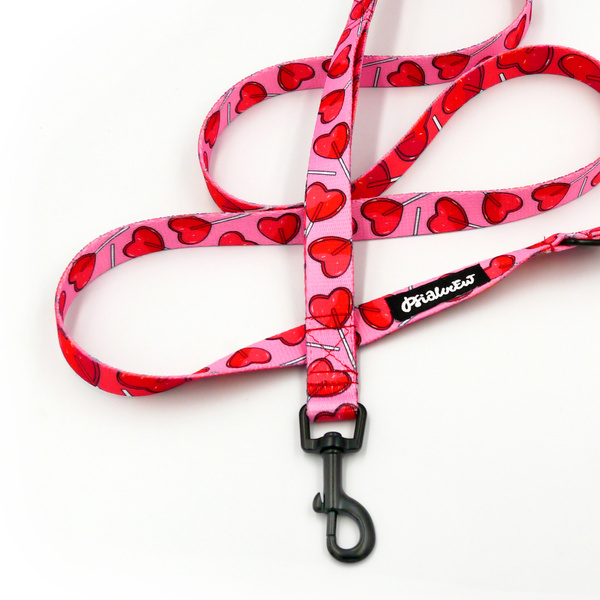 Laufleine für Hund Lollipops Psiakrew, Breite 2 cm, schwarzer Karabinerhaken 6 cm