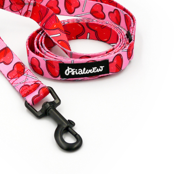 Laufleine für Hund Lollipops Psiakrew, Breite 2 cm, schwarzer Karabinerhaken 6 cm