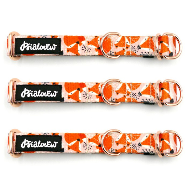 Half-Choke-Halsband Foxy Lady, 2 cm breit, für kleine Hunde, goldene Accessoires