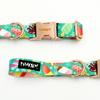 Dog Collar Psiakrew Ice Ice Baby 2.5 cm, 1"  wide, pink gold clip