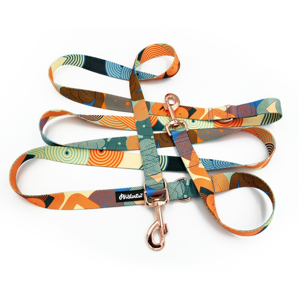 Lange Verstellbare Hundeleine Geo Snake Psiakrew 2,5 cm, Roségold-Karabiner 8 cm