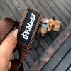 Brown Dog Leash width 2 cm 0.78 ", black extras