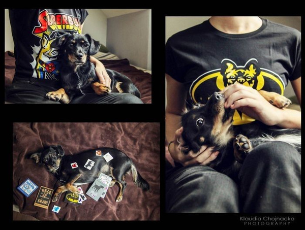 Women's T-shirt French Bulldog Frenchyman Psiakrew