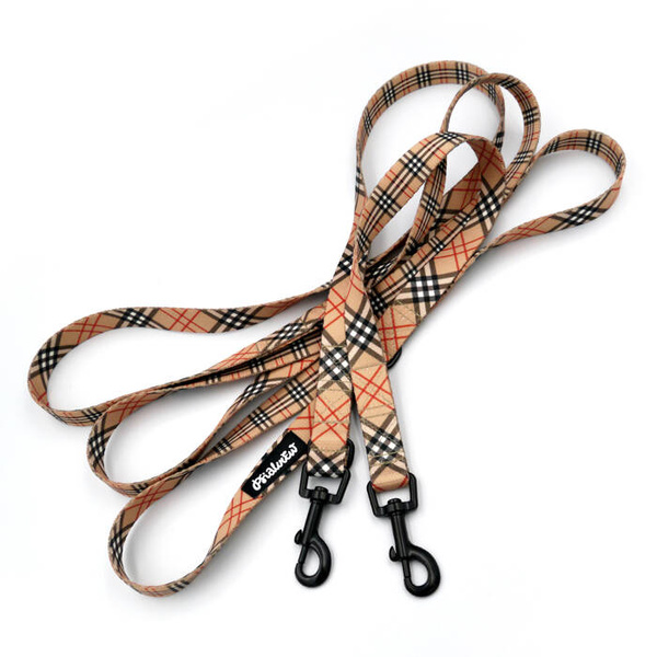 Long Dog Leash Dogberry Psiakrew width 2 cm (0.78"), black snap hook 6 cm