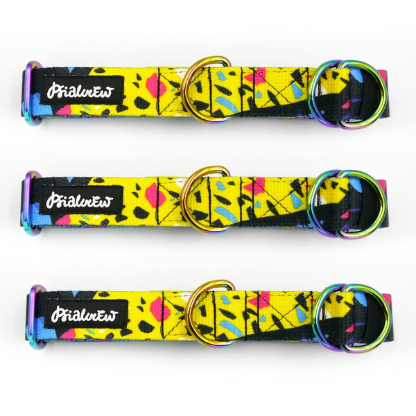 Half-choke collar Terrazzo, 2.5 cm wide, medium and big dogs, HOLO extras