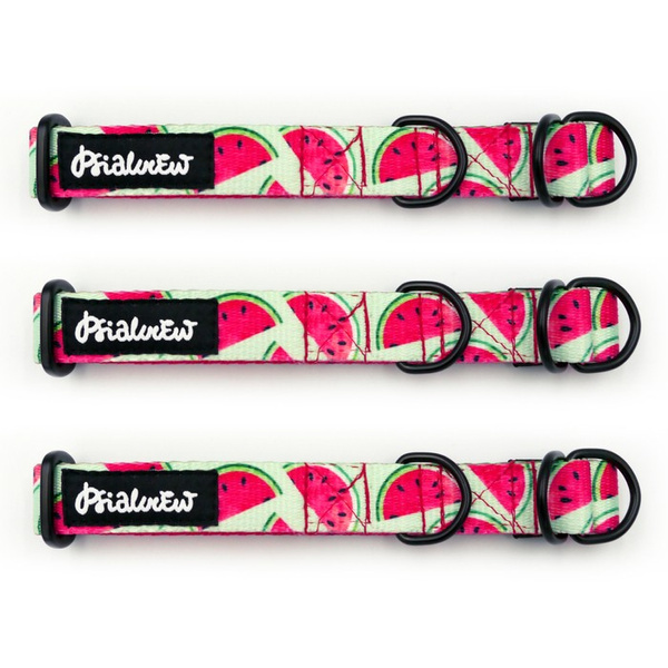 Half-choke collar Watermelon, 2 cm wide, for small dogs, black extras