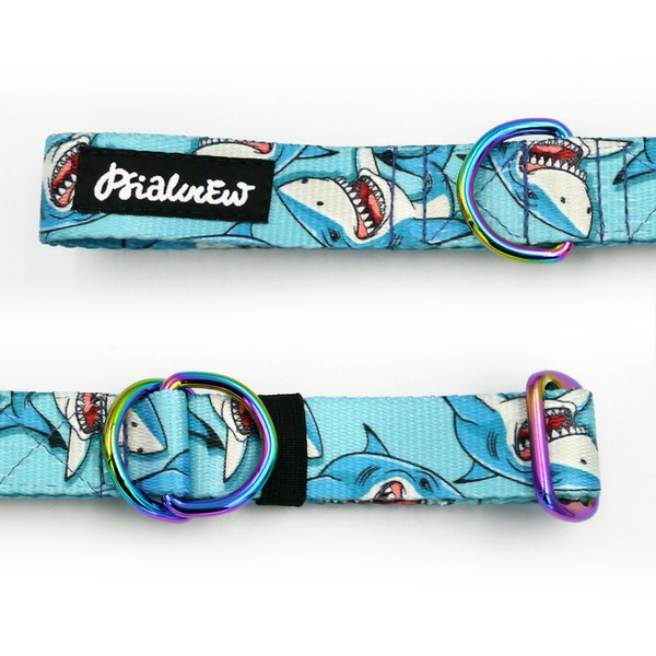 Halbes Würgehalsband Shark Psiakrew 2,5 cm breit, für mittelgroße und größere Hunde, Holo-Beschläge
