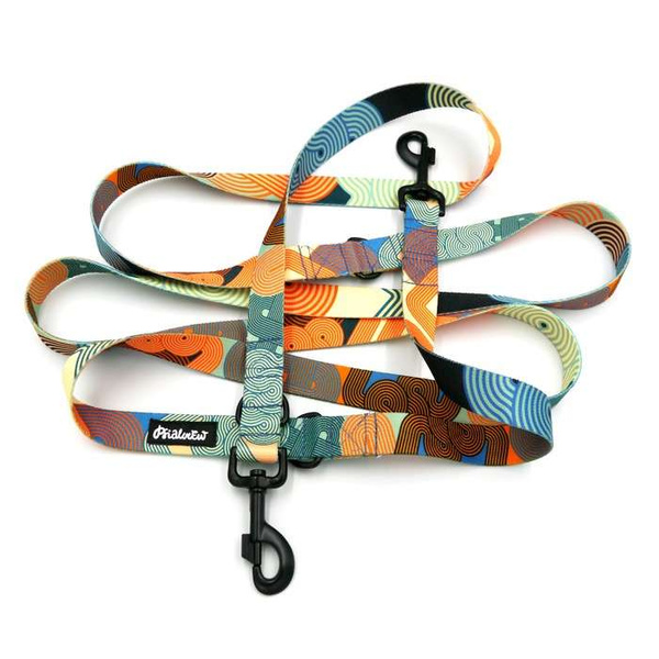 Dog Leash Geo Snake width 2.5 cm, 1" wide, snap hook black 8cm