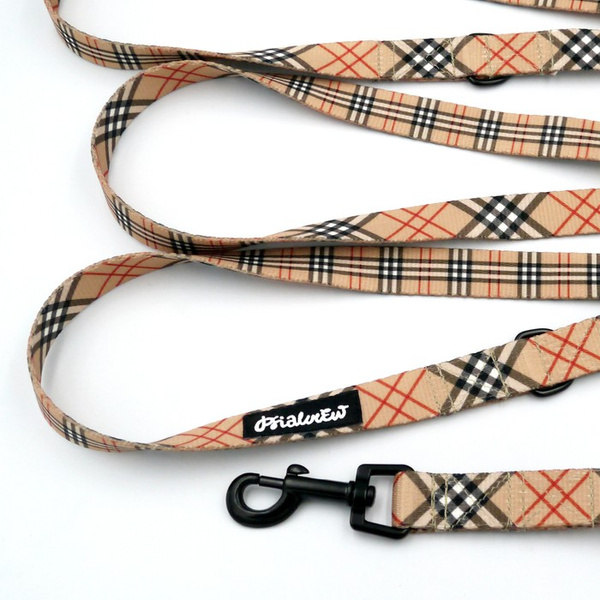 Hundeleine Dogberry Psiakrew Breite 2 cm, schwarzer Karabinerhaken 6 cm