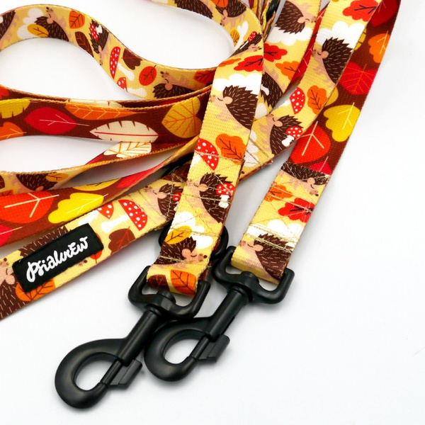 Dog Leash Träumer Igel width 2.5 cm, 1" wide, snap hook black 8cm