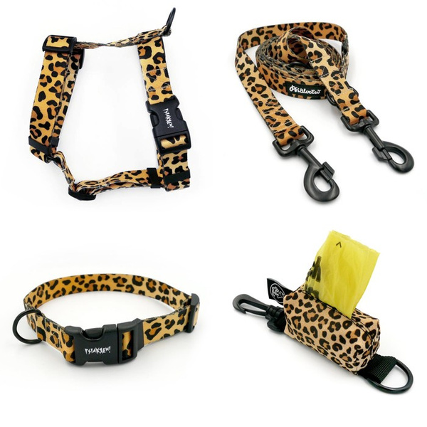 ACCESSORY KIT. Big dog. Tarzan Psiakrew Series; Collar, Harness, Leash, Pouch