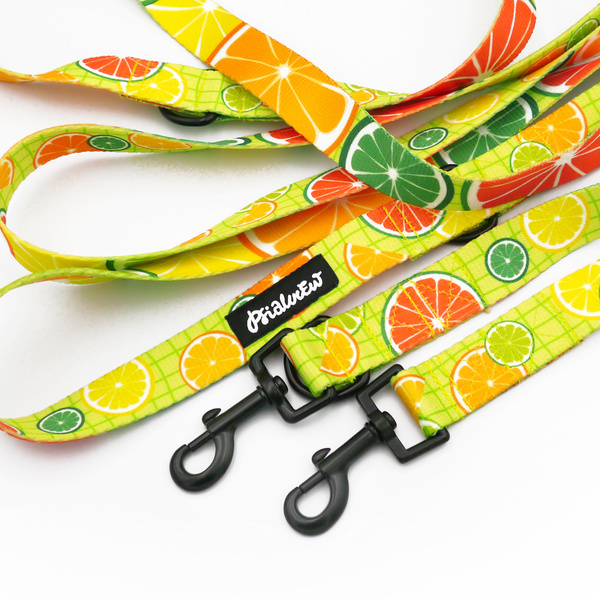 Lange verstellbare Hundeleine Lemoniada Psiakrew, Breite 2,5 cm, schwarzer Karabiner 6 cm