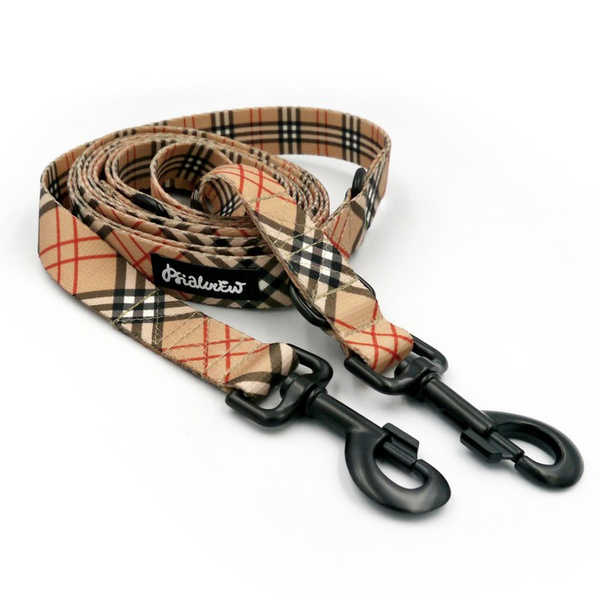 Lange abnehmbare Hundeleine Dogberry Psiakrew, Band 2,5 cm, Karabiner 8 cm, schwarz