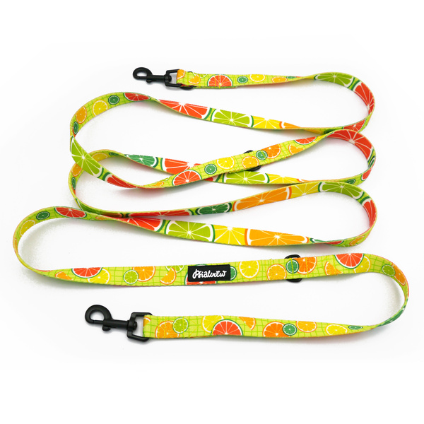 Long Dog Leash Lemonade Psiakrew width 2 cm (0.78"), black snap hook 6 cm