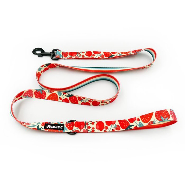 Dog Leash Fruit Jelly width 2.5 cm, 1" wide, snap hook glossy nickel 7cm
