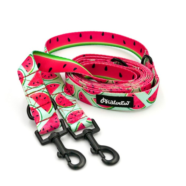 Dog Leash Watermelon width 2.5 cm, 1"  wide, snap hook black 6cm