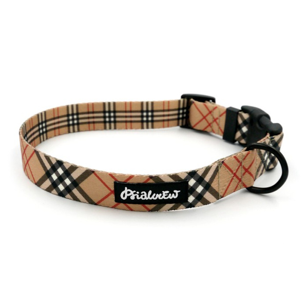 Dog Collar Dogberry Psiakrew 2.5 cm 1" wide, black fittings