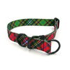 Halb-Klemmhalsband- Tartan Psiakrew , 2,5 cm breit, für mittelgroße und größere Hunde, Schwarz-Beschläge, Psiakrew