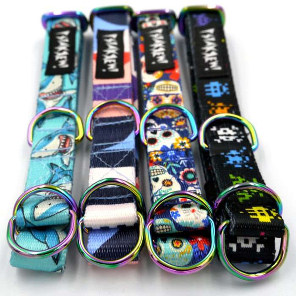 Half-choke collar Shark, 2 cm wide, for small dogs, Holo extras