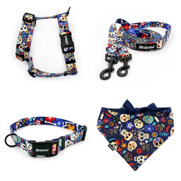 ACCESSORY KIT. Small dog. Dia de Los Muertos Psiakrew Series; Collar, Harness, Leash, Bandana