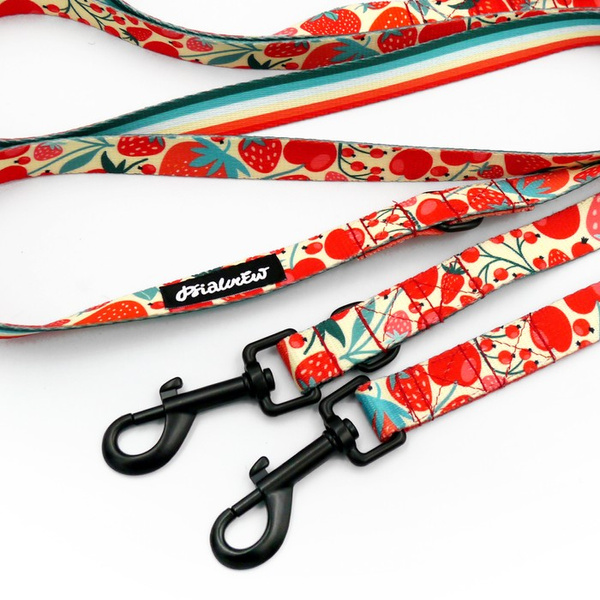 Long Dog Leash Fruit Jelly Psiakrew width 2 cm (0.78"), black snap hook 7 cm (3,15")