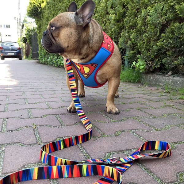 Szelki dla Psa Super Dog Bezuciskowe Wygodne Ultramiękkie Psiakrew