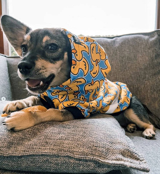 Dog Hoodie Ducky Duck Psiakrew, reflective inserts, ducky print