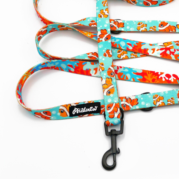 Long Dog Leash Blue Lagoon Psiakrew width 2 cm (0.78"), black snap hook 6 cm