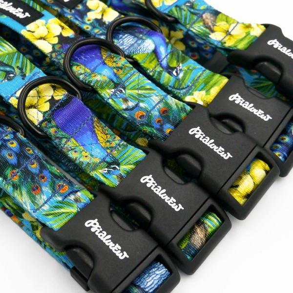 Verstellbares Halsband Peacock's Eye Psiakrew, 2,5 cm breit, schwarze Beschläge