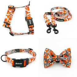 ZUBEHÖRSATZ für einen kleinen Hund Foxy Lady Psiakrew -Serie; Halsband, Geschirr, Leine, Fliege