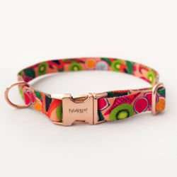 Dog Collar Psiakrew Tutti Frutti, 2 cm 0.78"  wide, for smaller dogs, pink gold clip