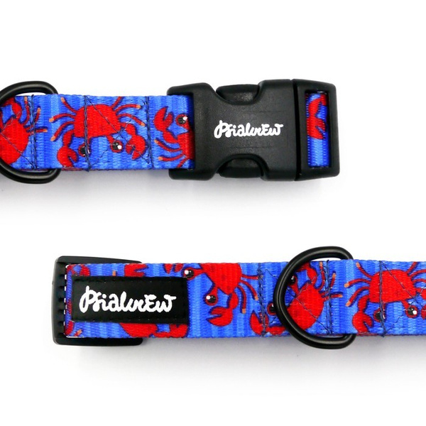 Dog Collar Psiakrew Sea Look 2.5 cm wide, black extras