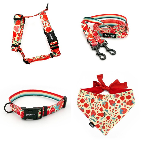 ACCESSORY KIT. Small dog. Fruit Jelly Psiakrew Series; Collar, Harness, Leash, Bandana