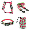 ZUBEHÖRSATZ. Großer Hund. Watermelon Psiakrew-Serie; Halsband, Geschirr, Leine, Sachet für Hundeleckerli
