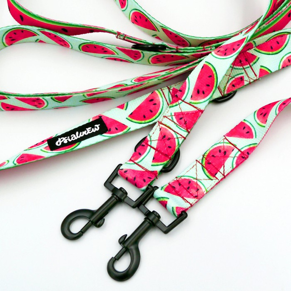 Dog Leash Watermelon width 2.5 cm, 1" wide, snap hook black 6cm