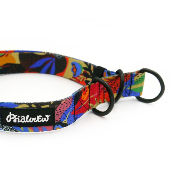Half-choke collar Colorful Thicket Psiakrew, 2.5 cm wide, medium and big dogs, black extras