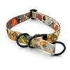 Half-choke collar Forest Treasures, 2.5 cm wide, medium and big dogs, black extras